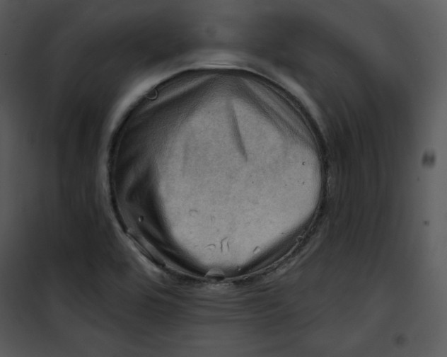 X0000100891464200807220939