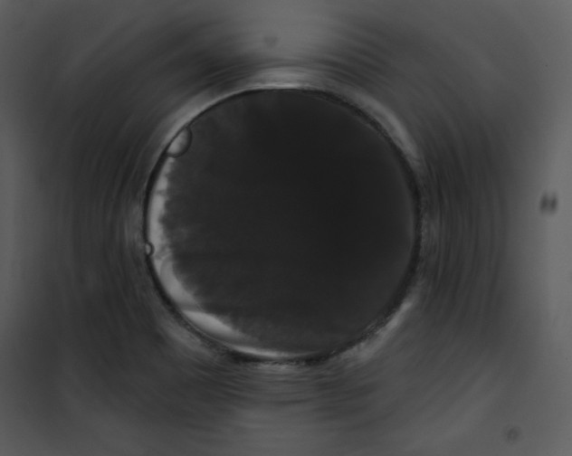 X0000100891465200807220939