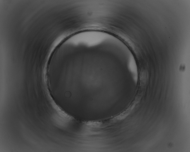 X0000100891466200807220939