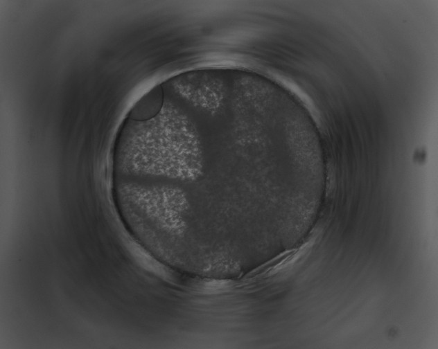 X0000100891467200807220939