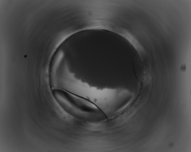 X0000100891468200807220939