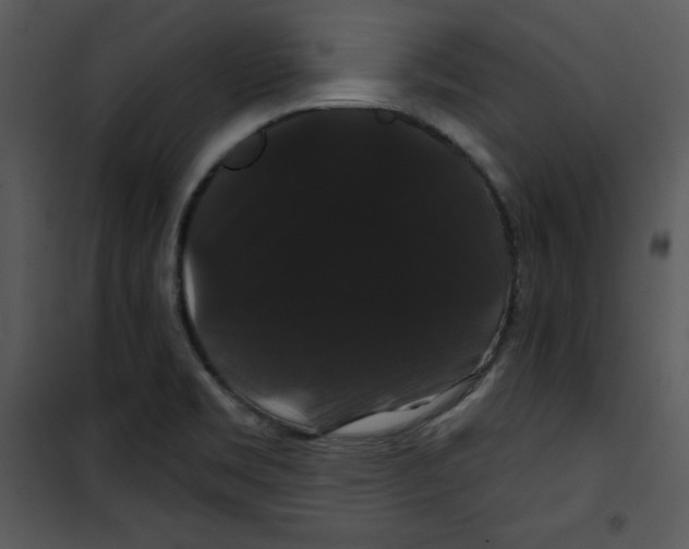 X0000100891469200807220939