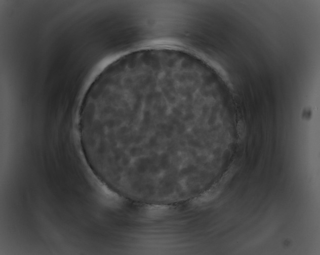 X0000100891470200807220939