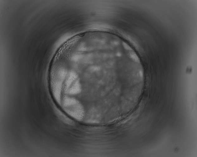 X0000100891471200807220939