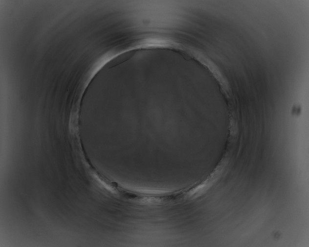 X0000100891473200807220939