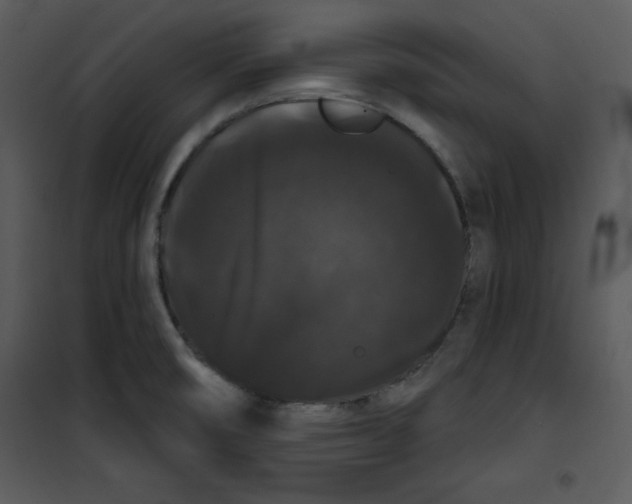 X0000100891474200807220939