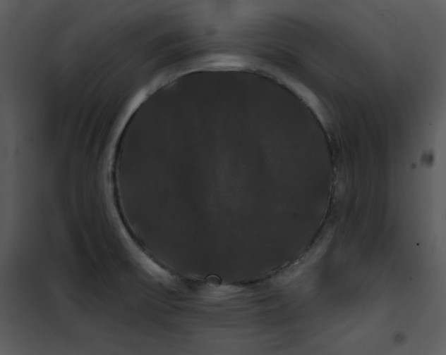 X0000100891475200807220939