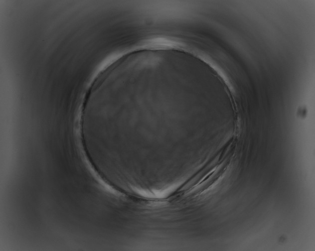 X0000100891477200807220939