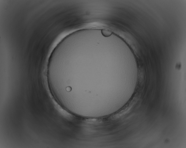 X0000100891478200807220939