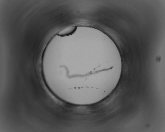 X0000100891479200807220939