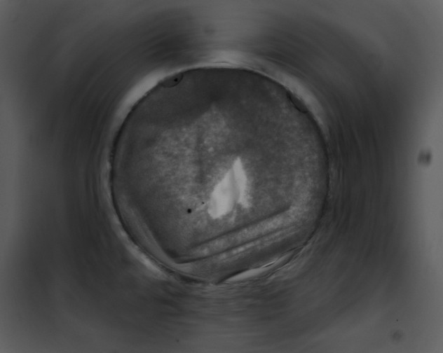 X0000100891480200807220939