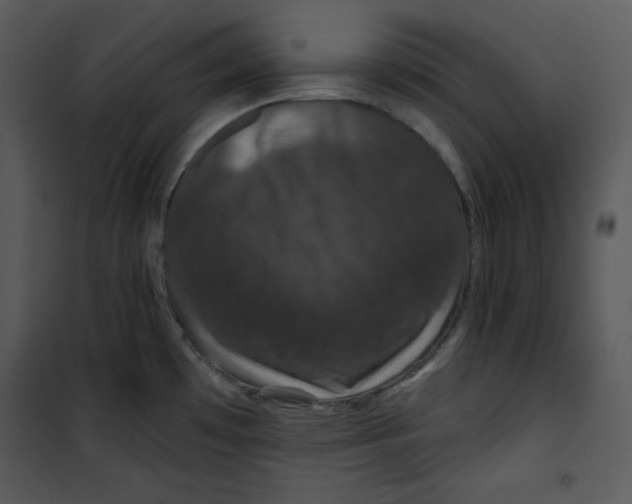 X0000100891481200807220939