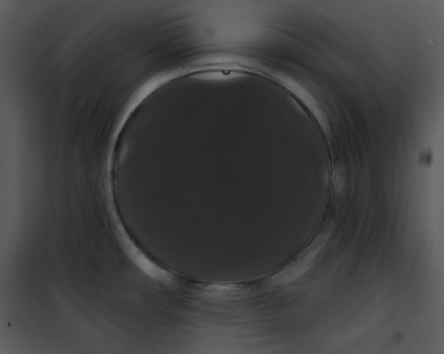 X0000100891482200807220939