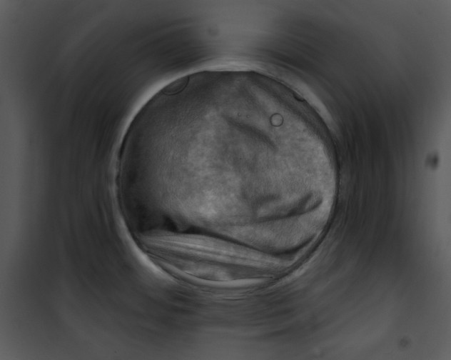 X0000100891484200807220939