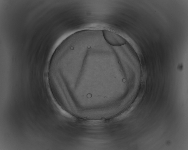 X0000100891486200807220939