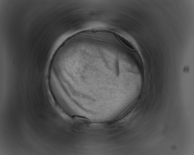 X0000100891488200807220939