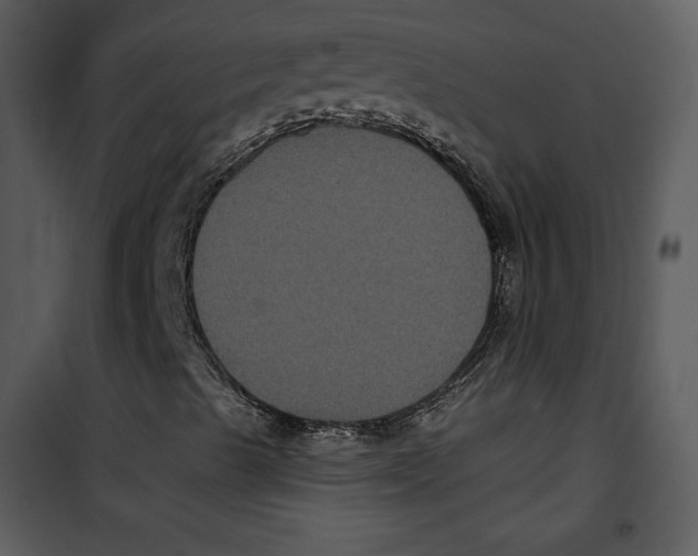 X0000100891489200807220938