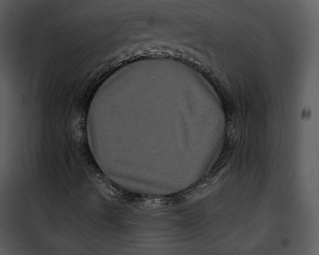 X0000100891490200807220938