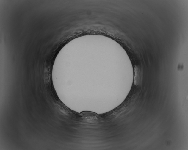 X0000100891491200807220938