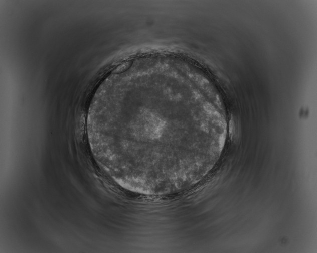 X0000100891492200807220938