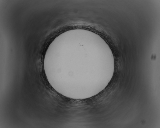 X0000100891493200807220938