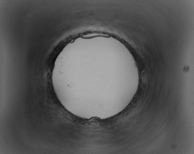 X0000100891495200807220938