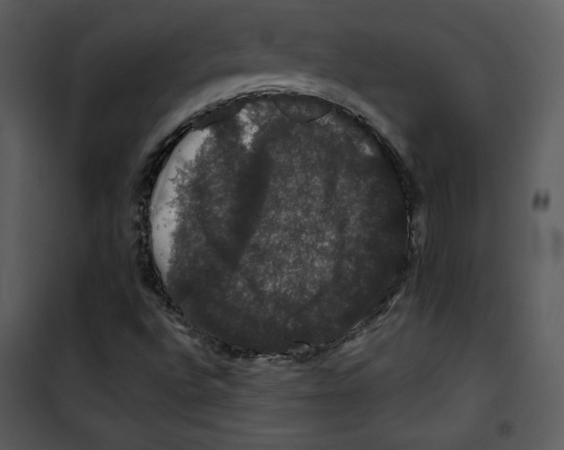 X0000100891496200807220938