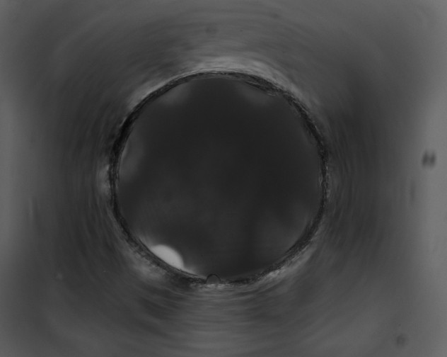 X0000100891497200807220938