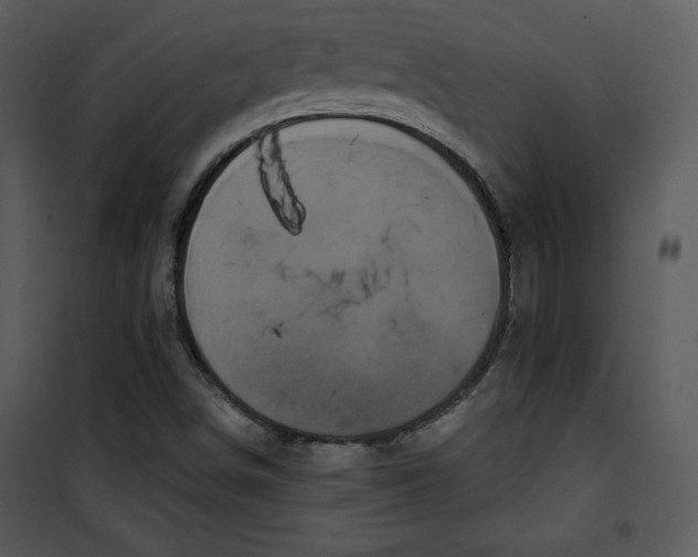 X0000100891498200807220938