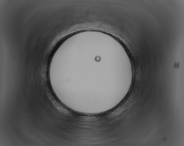 X0000100891499200807220938