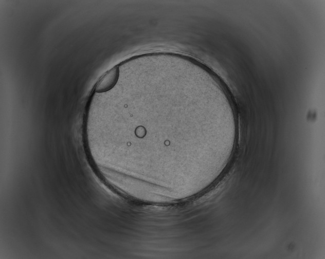 X0000100891500200807220938