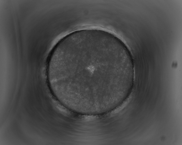 X0000100891501200807220938