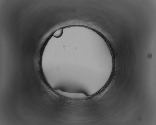 X0000100891502200807220938