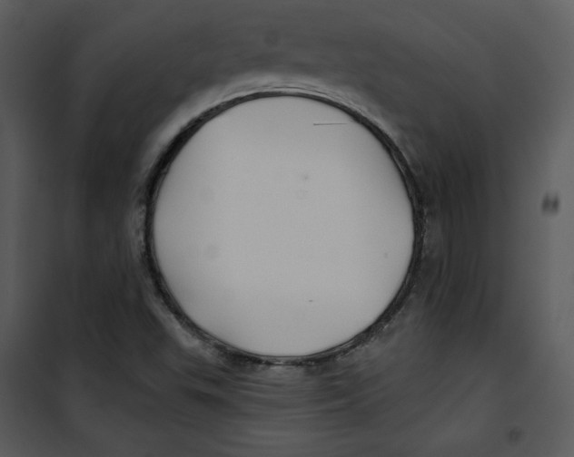 X0000100891503200807220938