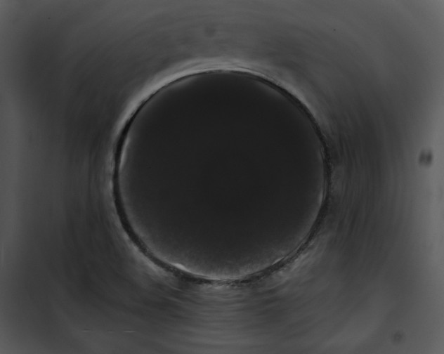 X0000100891508200807220939