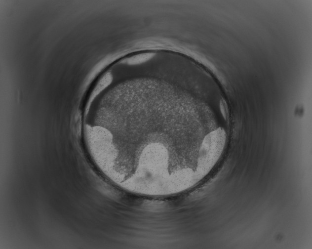 X0000100891509200807220939