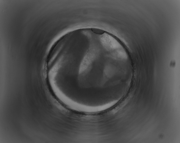 X0000100891510200807220939