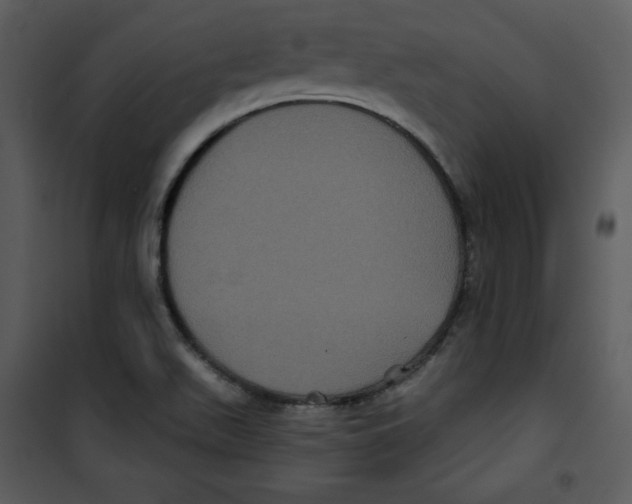 X0000100891511200807220939