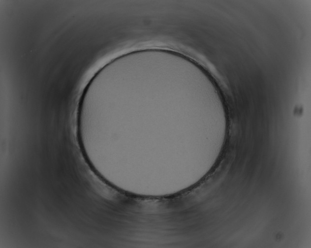 X0000100891512200807220939