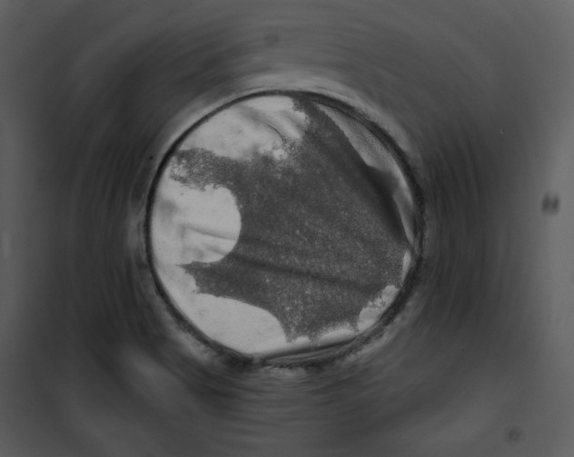 X0000100891513200807220939