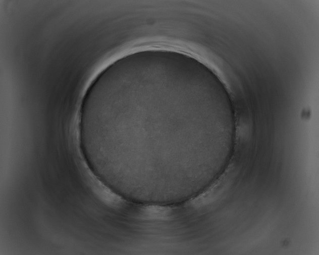 X0000100891514200807220939