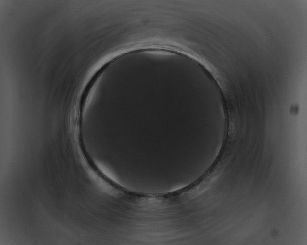 X0000100891515200807220939