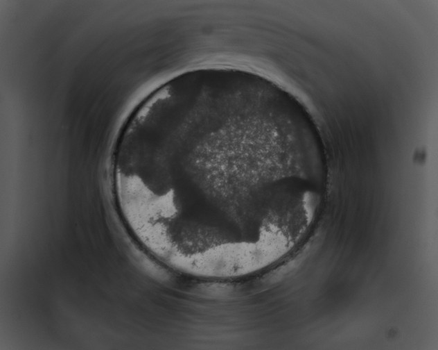 X0000100891517200807220939