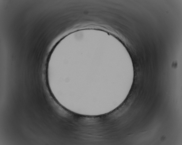 X0000100891518200807220939