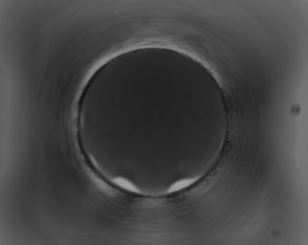 X0000100891519200807220939