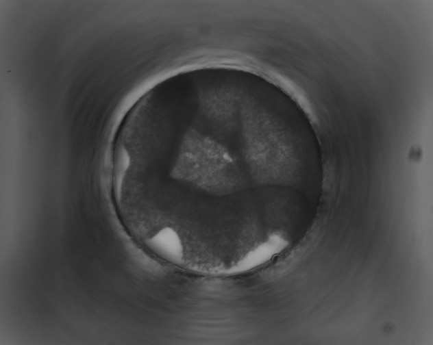 X0000100891520200807220939