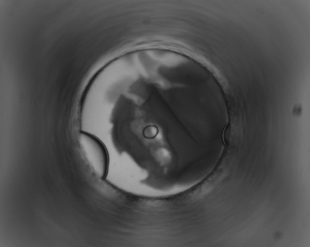 X0000100891522200807220939