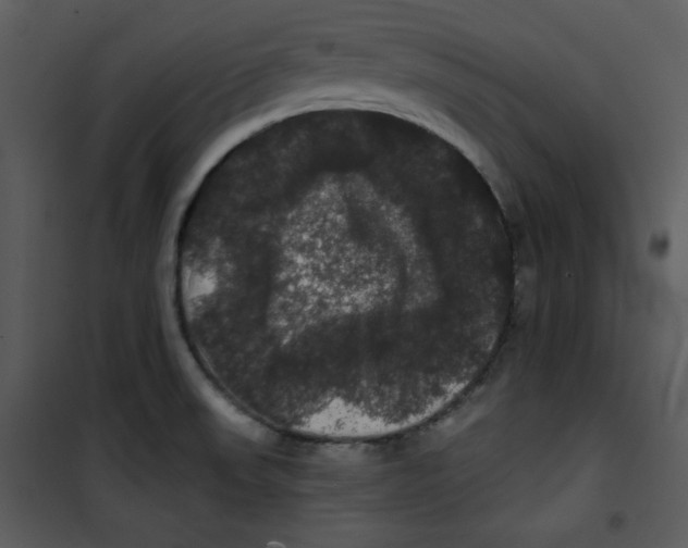 X0000100891523200807220939