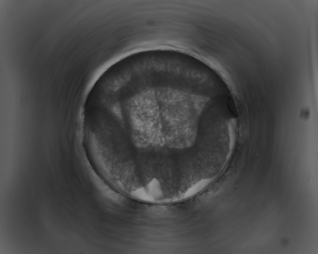 X0000100891524200807220939