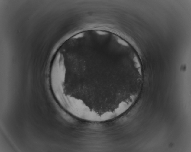 X0000100891525200807220939